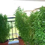 Nastasia Hotel de apartamente 4*