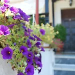 Hotel de apartamente Nastasia 4*