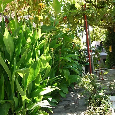 Nastasia Apart Otel 4*