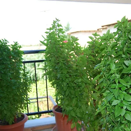 Nastasia Apart Otel 4*