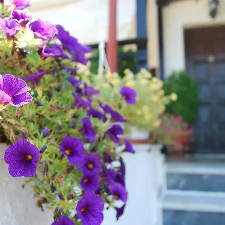 Apart Otel Nastasia 4*