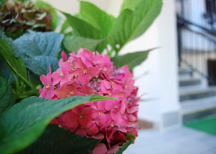 Hotel apartamentowy Nastasia