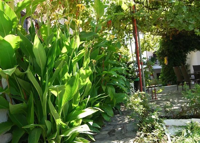 Nastasia Hotel de apartamente 4*