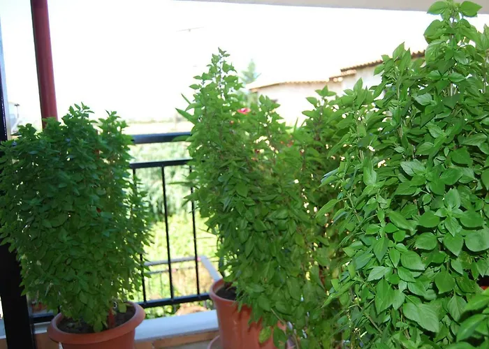 Nastasia Hotel de apartamente 4*